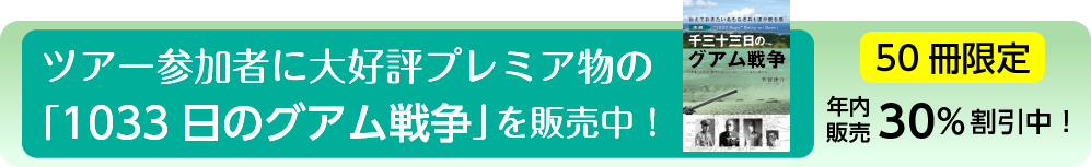 1033日のグアム戦争