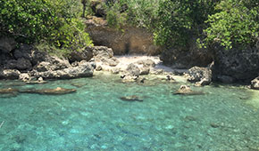 アグエコーブ　Ague cove