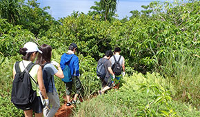 アグエコーブ　Ague cove