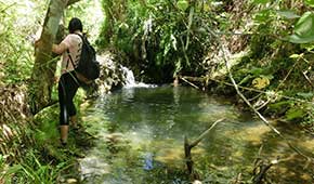 アサンリバーとトニーフォールズ Asan River & Tony Falls