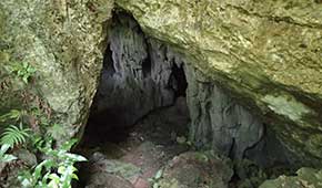 日本軍洞窟探検（Japanese Caves