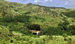 ロウアーシグアフォールズ Lower Sigua falls