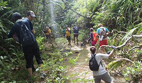 マロロの滝 Malojlojo Falls