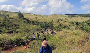 アクティビティ（修学旅行）